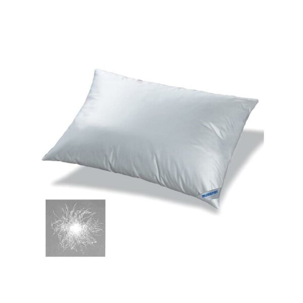 Pillow 100% Goose Down 60/80 ecru 100% white goose down (best quality)